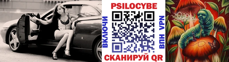 Купить  Куса  Галлюциногенные грибы мухоморы 
